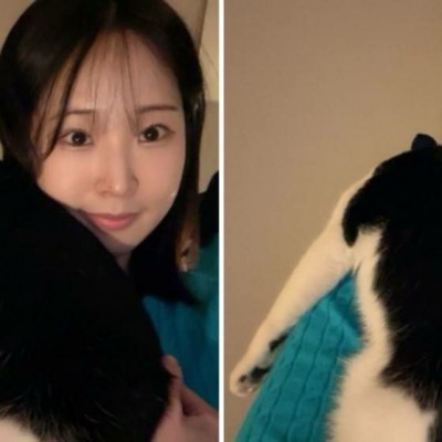 Korean bitch韩国骚婊子