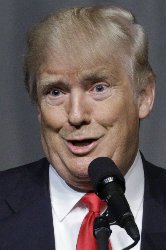 fred50215's avatar