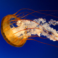 xcsdwe2398765's avatar