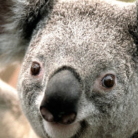 sp06149's avatar