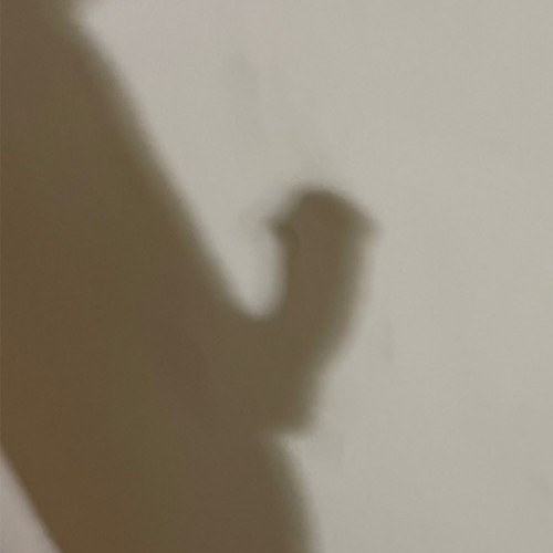 jellooo69's avatar