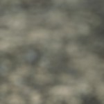 wawao1414's avatar