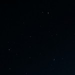 Honli's avatar