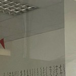 chenyu1220's avatar