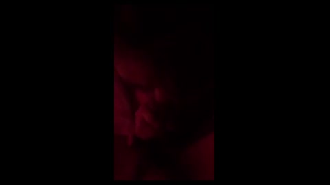 内地自拍閨蜜PORN刺青妹吹喇叭口交