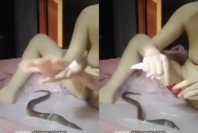 騷貨主播自慰
