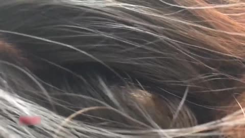 呆哥約炮多毛豐滿人妻全裸露蜜穴逼毛特彆多操起帶勁激情操逼
