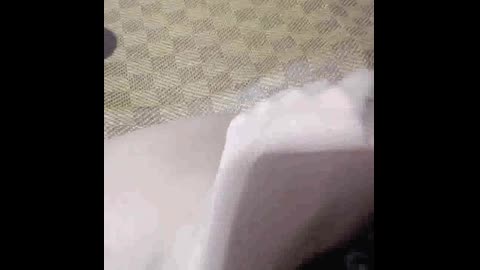 摸摸自己的大爛逼