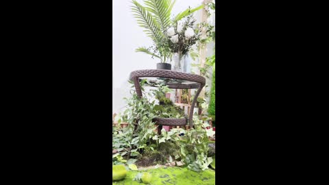花音栗子（金鱼 kinngyo） - 森林冒险计划 短花絮