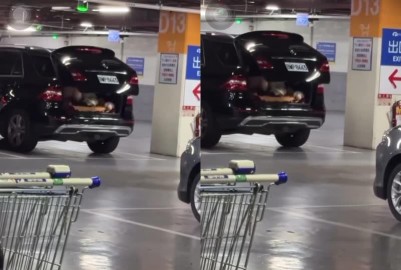 每日羞恥挑戰 BMW車主賣場停車場車震 底下是男是女無從得知