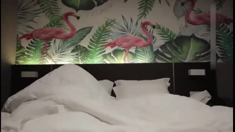 【叫雞碰到前女友閨蜜】下集 全程精彩對白：你知道是我還約啊？ - 伊莉影片區