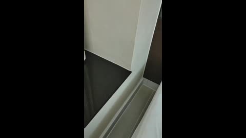 採花小盜-被主人圈養的小母狗 (18)