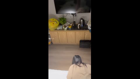 採花小盜-被主人圈養的小母狗 (40)