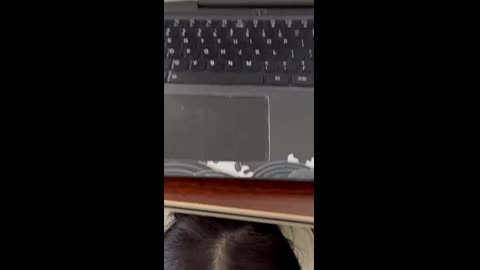 採花小盜-被主人圈養的小母狗 (90)