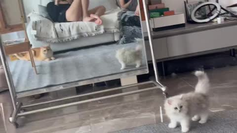 推特【小屁大王】啪啪裸舞 (47)