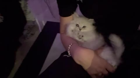 推特【小屁大王】啪啪裸舞 (55)