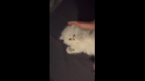 推特【小屁大王】啪啪裸舞 (57)