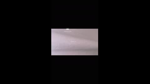 大學生巨乳萌妹 【一隻桃桃】 寢室裸舞 (11)