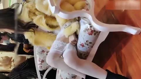 2048.cc-【主人的任务】推特知名网黄「大表姐」户外自慰挑战，商场镂空装露出全程露脸