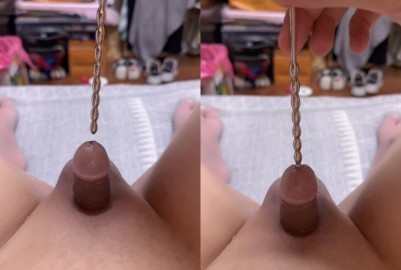 奈米鳥